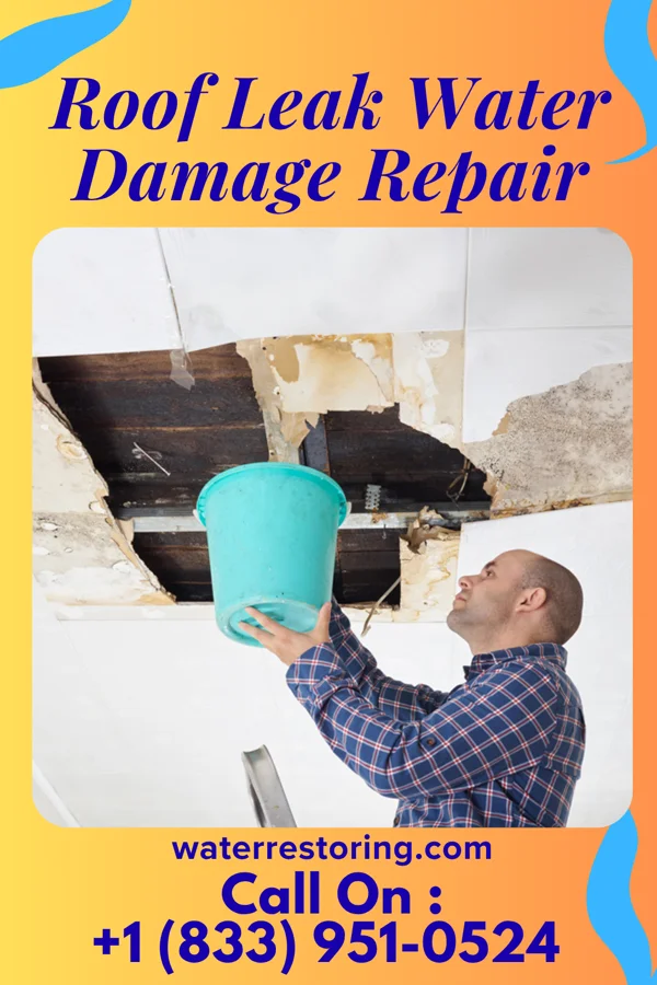 Roof Leak Water Damage Repair in Serenada, TX